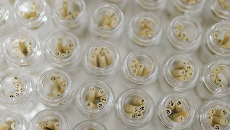 Topdown-view-of-glass-pots-filled-with-Cannabis-pre-roll-joints,-circling-shot