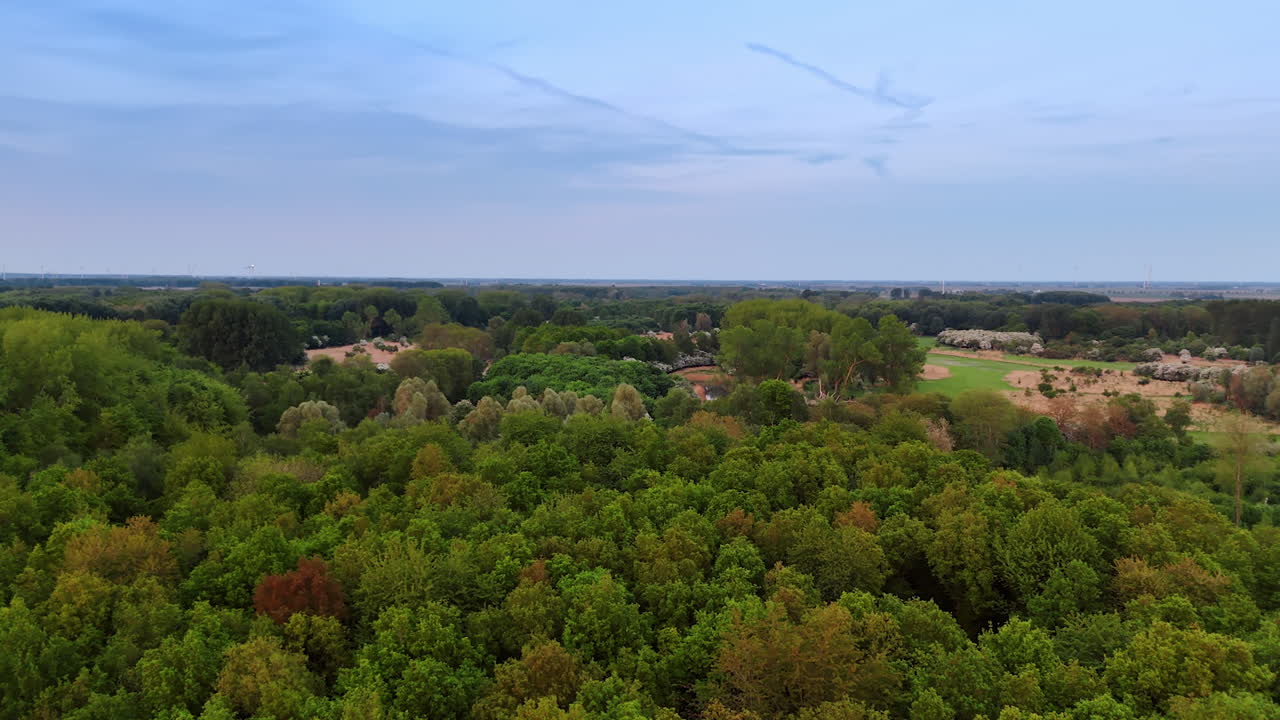 Over the tops of the green trees in the forest. Flight over the woods in the countryside.