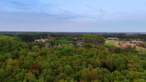 over the tops of the green trees in the forest. flight over the woods in the countryside.