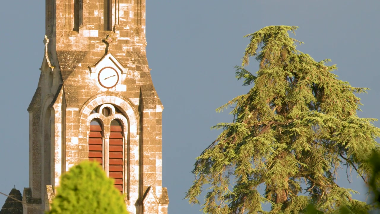 Scatto con teleobiettivo del campanile di una storica chiesa in pietra accanto ad alberi verdi a Saint Emilion