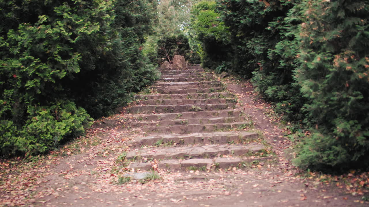 조용한 숲길을 따라 돌계단이 이어져 있고, 양쪽에는 나무가 있으며, 땅에는 낙엽이 흩어져 있고, 푸르른 숲으로 이어지는 소박한 길이 보이고, 고요한 숲 속 계단의 풍경이 펼쳐져요.