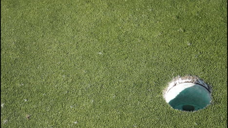 golf course with a hole and a golf ball