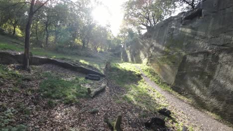 FPV-drone-weaving-through-dense-quarry-woodland-trees-with-sunlight-shining-through-foliage