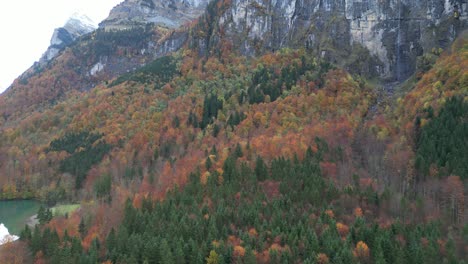 Bosque-De-Tundra-De-Gran-Altitud-Con-Cumbres-Montañosas-Y-Un-Lago