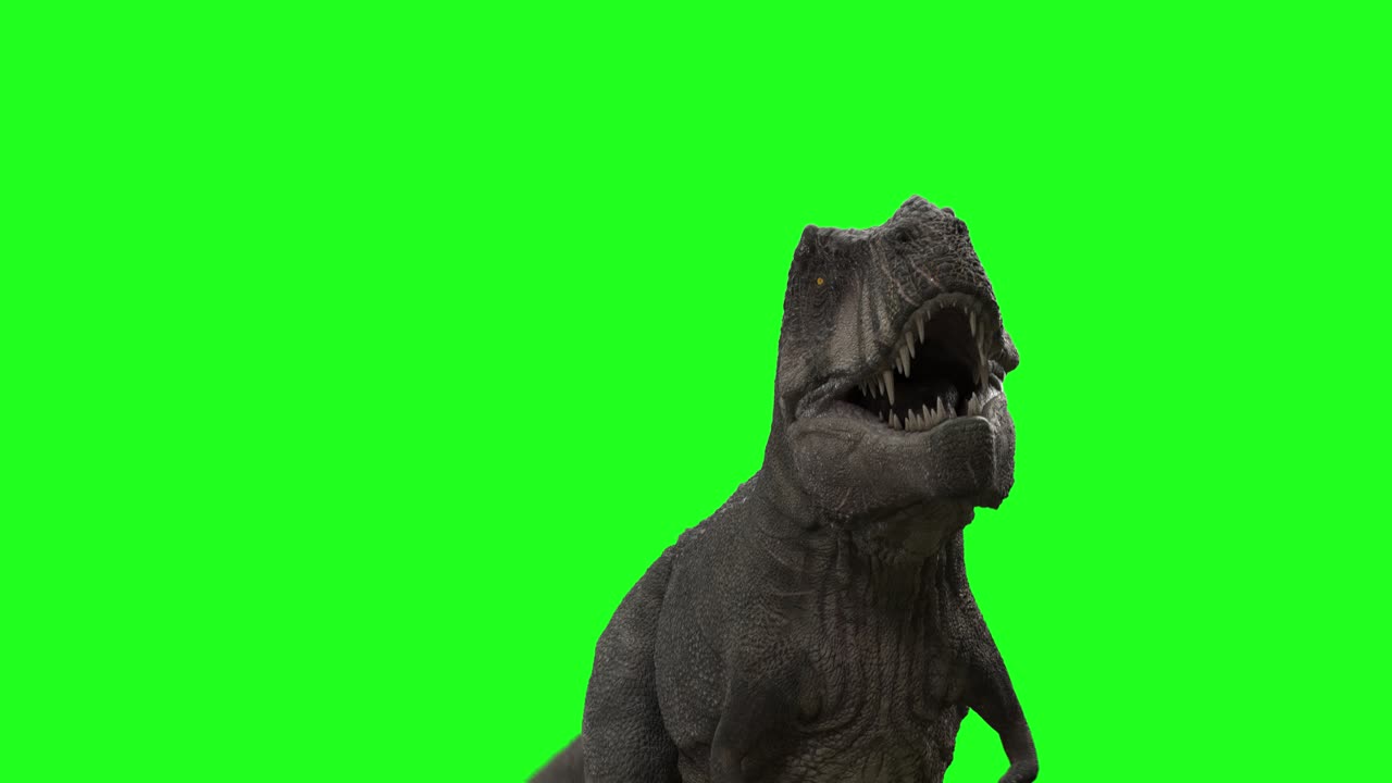 Dinossauro T-Rex caminhando em loop em canal verde