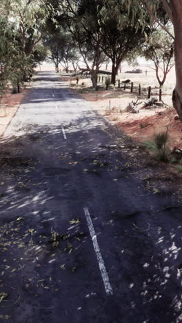 empty road through a forest