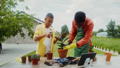 padre e hijo jardinería juntos