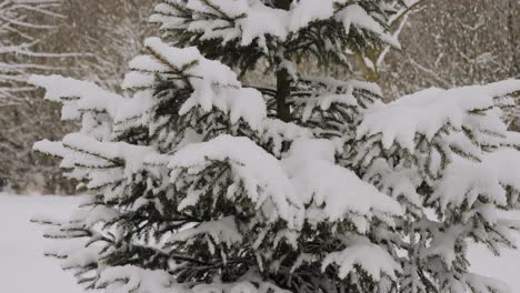 Slow-motion-shot-of-heavy-snowing-caused-by-lake-effect