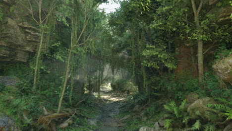 a path through a lush green forest