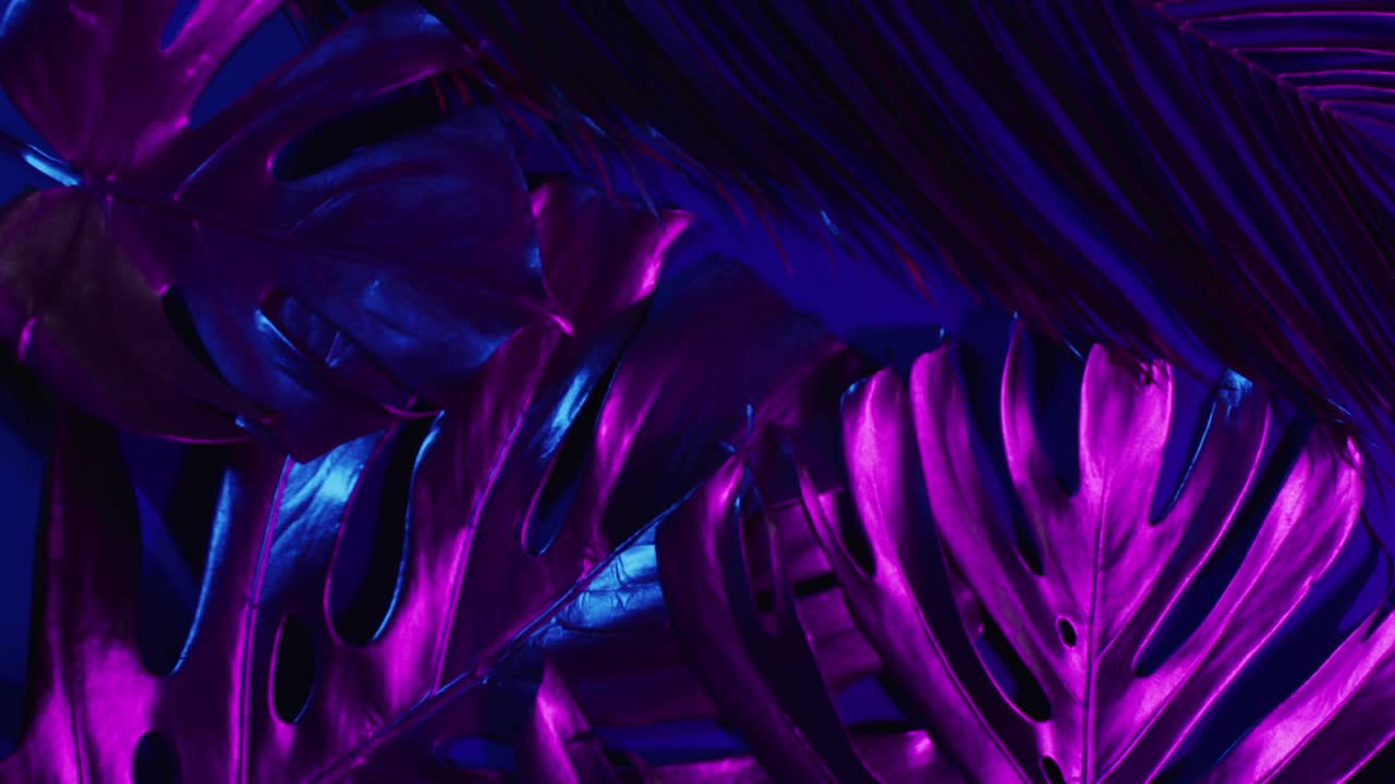 animación de hojas verdes exuberantes sobre fondo púrpura con iluminación púrpura de neón