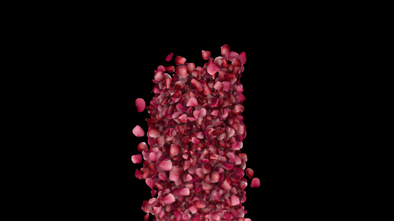 Valentine Petal Shower Motion Background