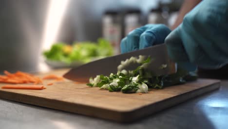 chef preparing vegetables for delicious meal