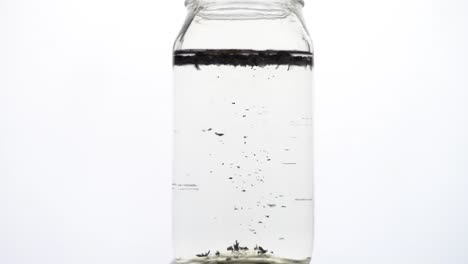 clear water throughing green tea leavs in water slow motion