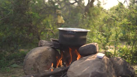 side shot of outdoor cooking of indian food in a pot on campfire flames in nature , india