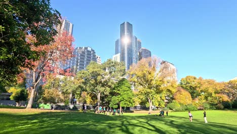 people enjoying a sunny day in the park