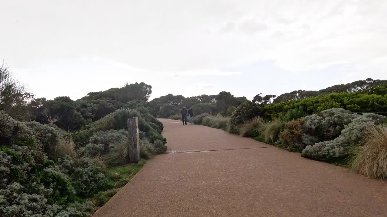 경치 좋은 길 을 고 있는 두 사람