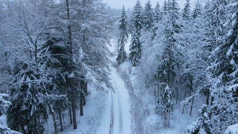 Dron-Aéreo-Descendiendo-Mostrando-Un-Hermoso-Paisaje-Forestal-Invernal-Y-Una-Carretera-Cubierta-De-Nieve-Fresca