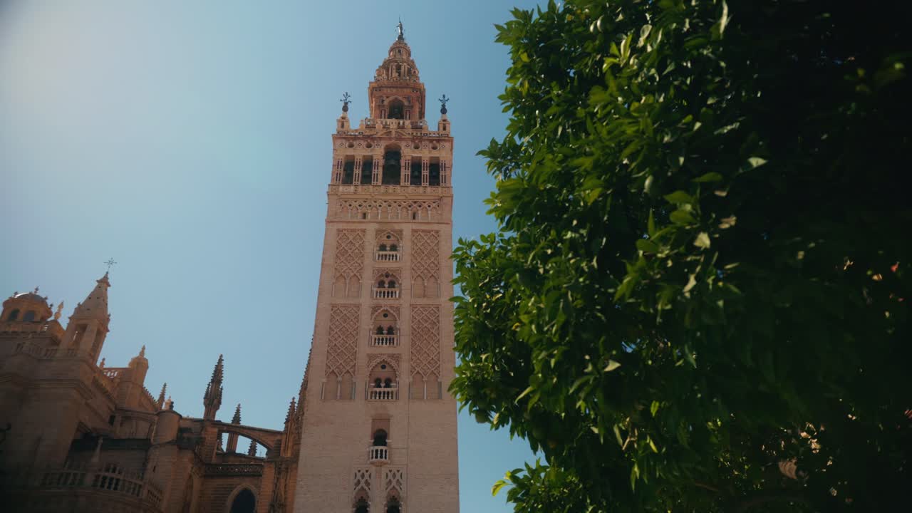 Torre della cattedrale parzialmente incorniciata da foglie verdi di alberi