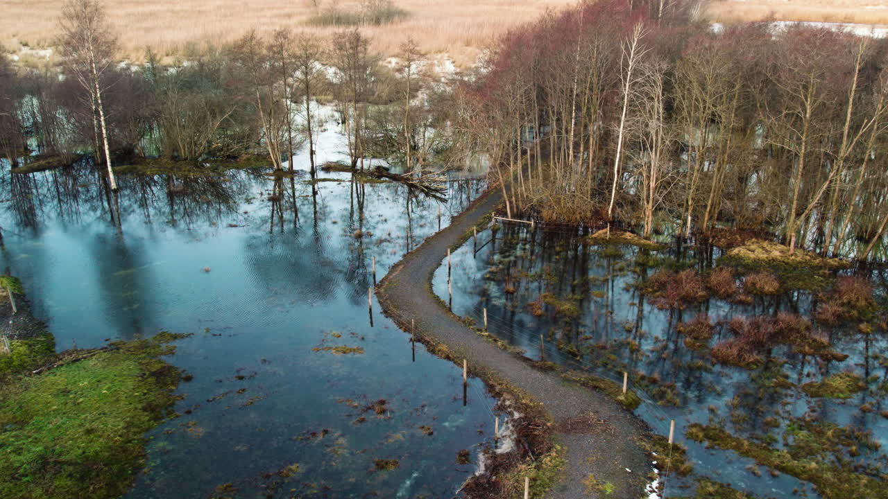 vuelo de drones sobre bosques pantanosos inundados de agua dulce en invierno