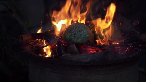 adding the breadfruits for roasting with in fire, mahe, seychelles 30 fps 003