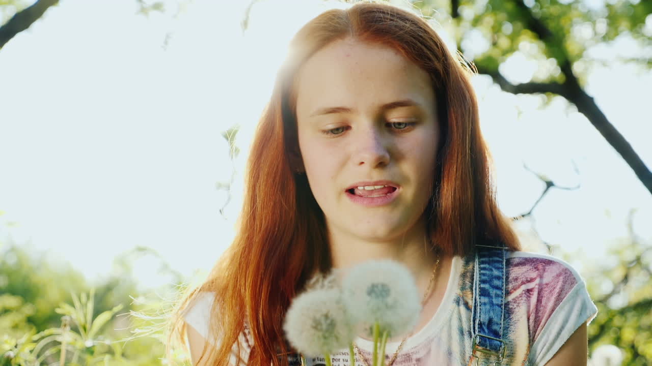 새빨간 머리를 한 소녀가 민들레 꽃을 가지고 노는 것을 즐긴다 1