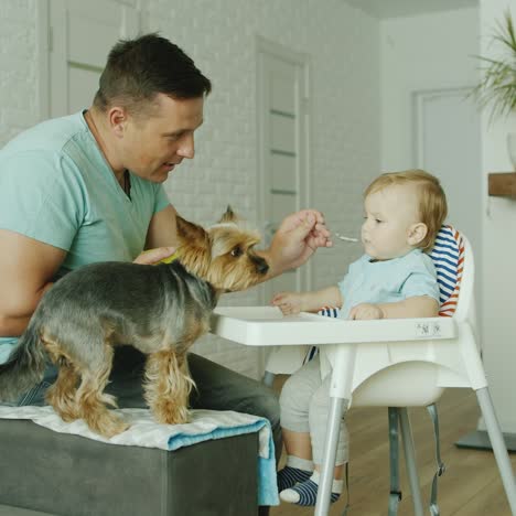 Un-Joven-Padre-Caucásico-Está-Alimentando-A-Su-Hijo-Con-Una-Cuchara-En-Casa