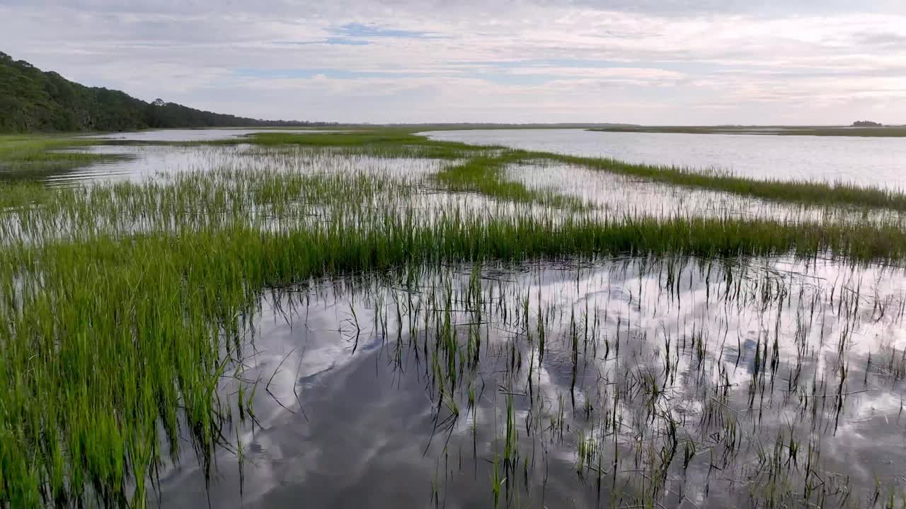Aerial over Spartina Marshg Grass in lowcountry of South Carolina near Beaufort SC