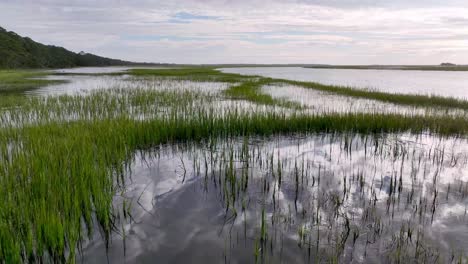 aerial over spartina marshg grass in lowcountry of south carolina near beaufort sc
