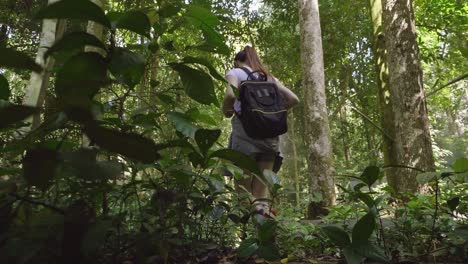 Hiker Hiking In Forest, Slow Motion