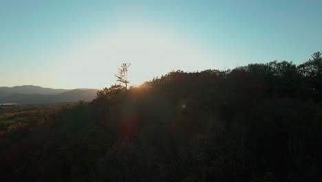 Rising-aerial-at-sunset,-starting-from-below-trees,-revealing-sun-in-distance