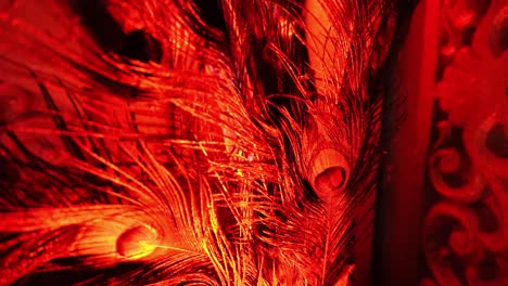 Led-of-orange-and-green-color-on-peacock-feather.