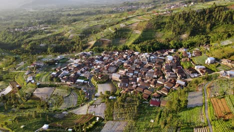 Vista-Aérea-Del-Campo-En-La-Ladera-De-La-Montaña-Rodeada-De-Plantaciones-De-Vegetales-Verdes