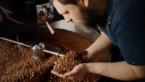 coffee roaster inspecting freshly roasted beans