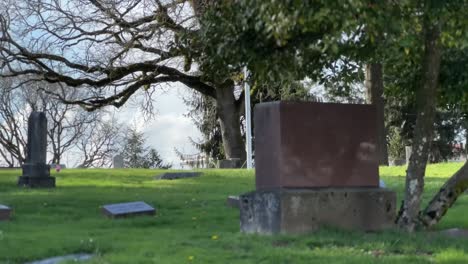 a small town cemetery in early spring, offering a serene and reflective atmosphere, blending natural beauty with a sense of peace and history