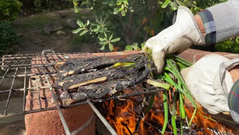 Calcots-Catalanes-A-La-Brasa-Listos-Para-Comer,-Cebolleta-Bbq,-Medianos