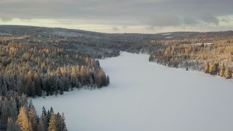 Kiefern-Am-Rand-Eines-Zugefrorenen-Und-Schneebedeckten-Sees-Werden-Von-Der-Untergehenden-Sonne-Im-Harz-Beleuchtet