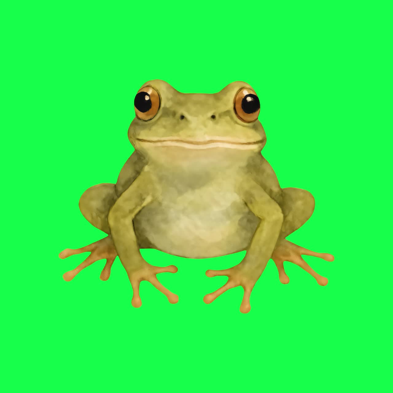Cartoon frog animation, transparent 4K video, green screen