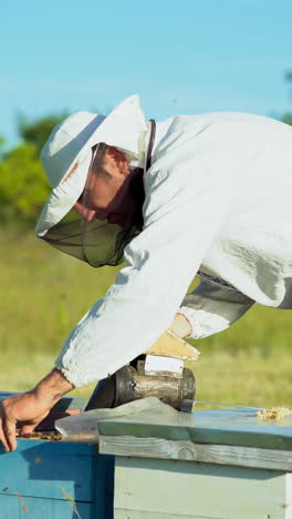 beekeeper is working with bees and beehives on the apiary. beekeeper gets a frame with honey. fumigation machine for bees, smoke vertical video