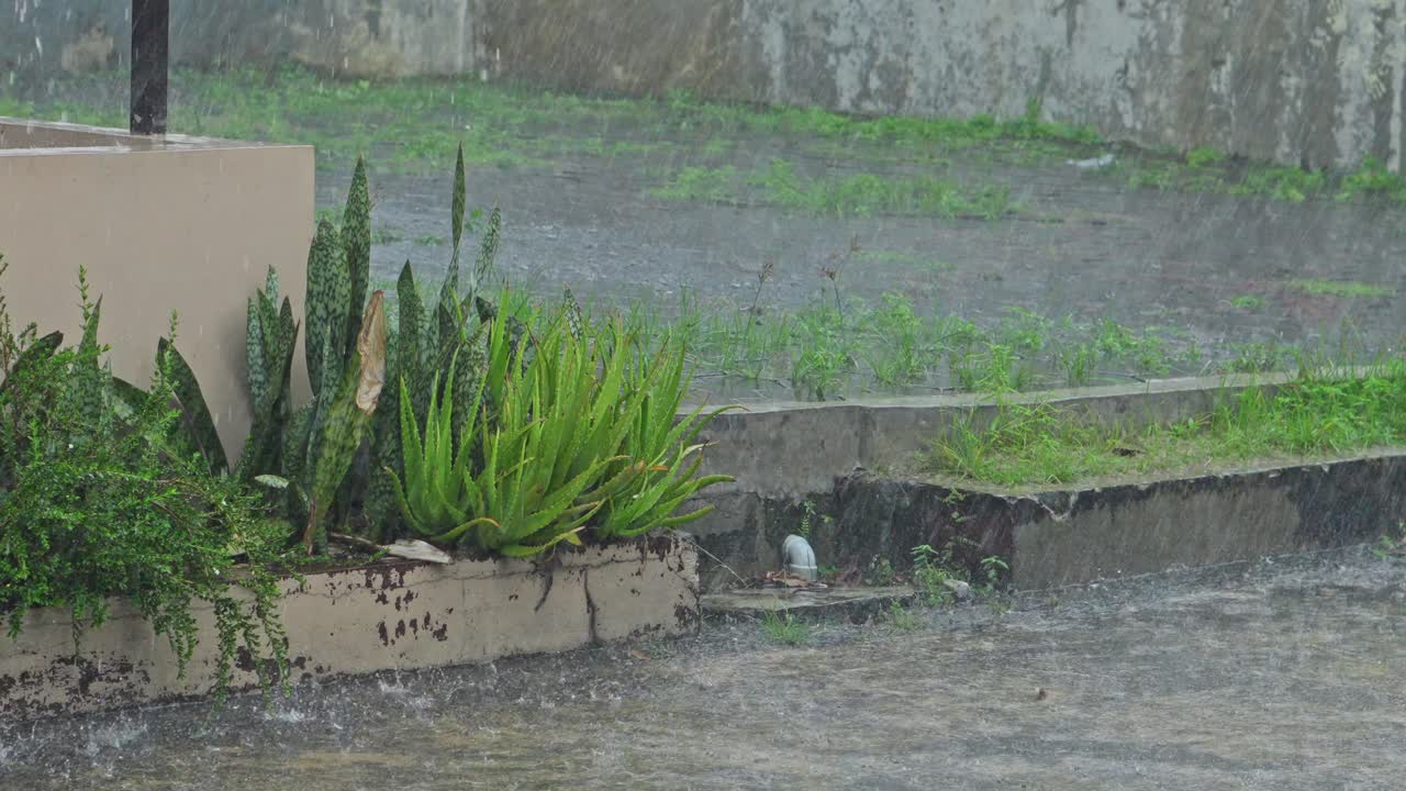 Lluvia intensa cayendo sobre plantas de exterior y la entrada de hormigón.