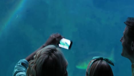 familia feliz mirando el tanque de peces