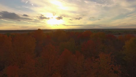 Hermoso-Bosque-Dorado-De-Otoño-Al-Atardecer-En-Canadá-Que-Revela-Una-Vista-De-Los-Campos-De-Maíz