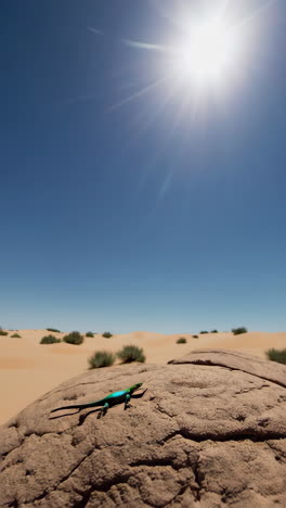 green lizard in a desert landscape