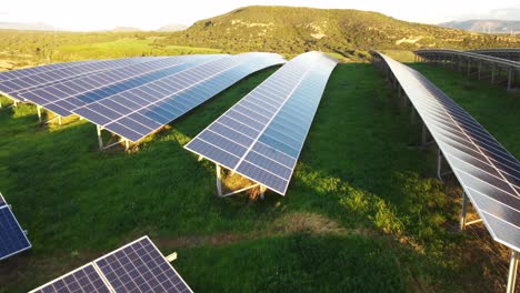 ecology solar power station photovoltaic farm, many panels on grass, forward