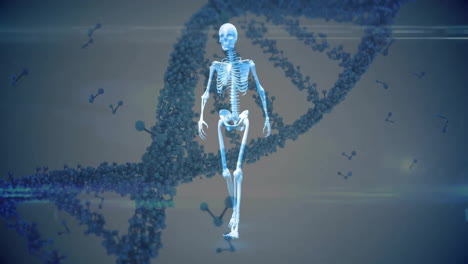 animation of digital human model over dna strand on white background