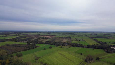 the edge of a forest bordering a plowed field in germany. wonderful aerial view flight panorama overview drone