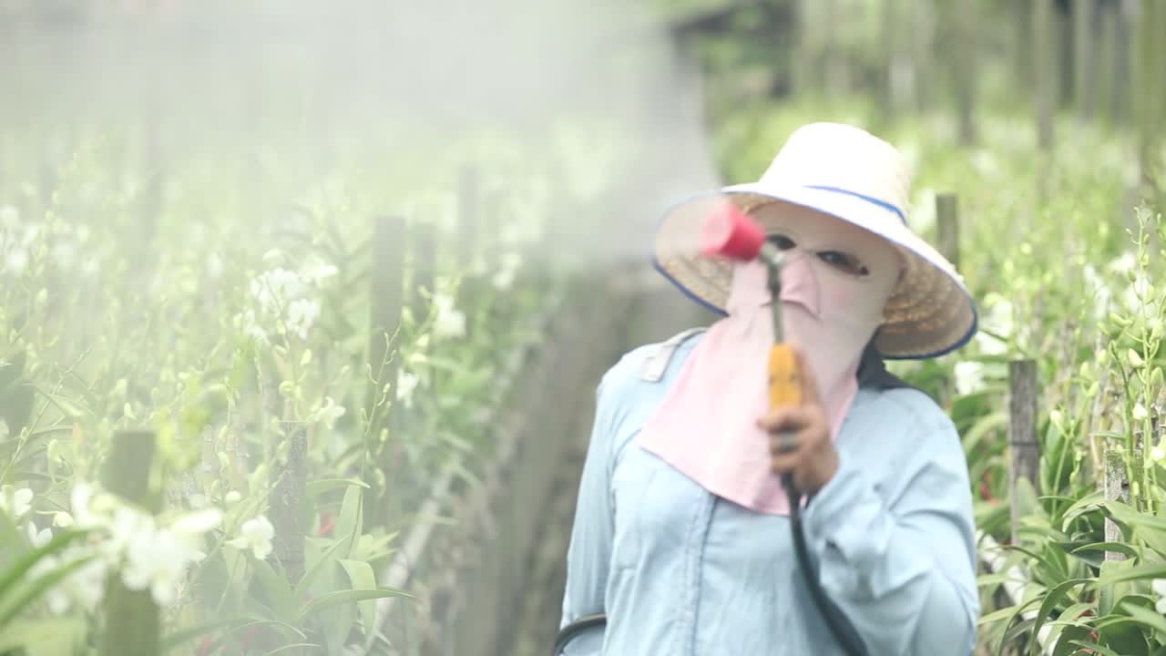 농장의 난초에 비료를 뿌리는 농부