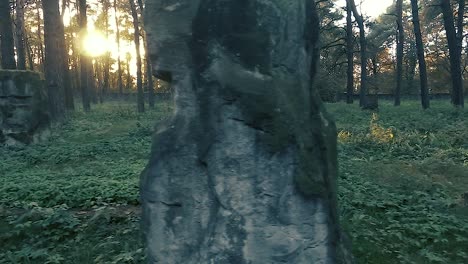 Sunlight-Illuminates-Grass-And-Old-Stones-In-Forest