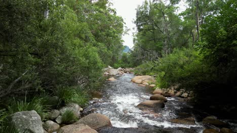 Wasser-Stürzt-Langsam-Einen-Abgelegenen-Bach-Hinunter,-Der-Durch-Eine-Buschszene-Im-Australischen-Outback-Fließt