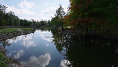 a calm pond with reflections of a partly cloudy sky and lush autumn-colored trees along the shoreline. the serene natural scene captures the beauty of the season with vibrant colors and peaceful water