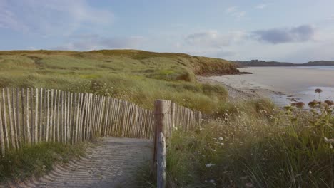 Paisaje-Verde-Con-Camino-De-Arena-Hasta-La-Playa.